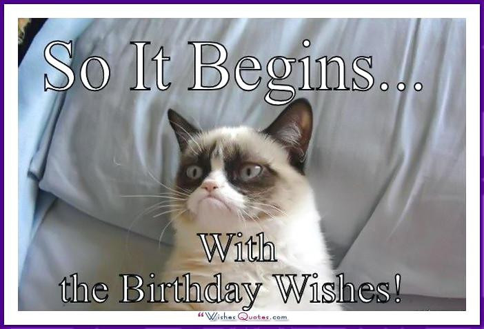 Funny Cat Birthday Meme
 Happy Birthday Memes with Funny Cats Dogs and Cute Animals