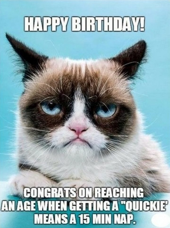 Funny Cat Birthday Meme
 101 Funny Cat Birthday Memes for the Feline Lovers in Your