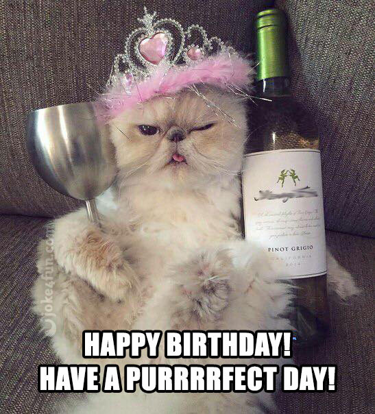 Funny Cat Birthday Meme
 35 Cat Birthday Memes That Are Way Too Adorable