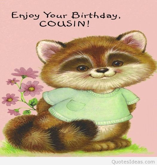 Funny Cousin Birthday Quotes
 Funny Birthday Quotes For Cousins QuotesGram