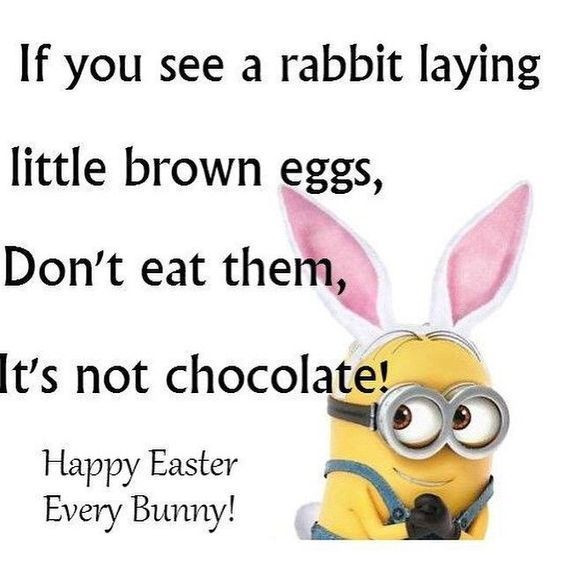 Funny Easter Quotes
 20 Funny Easter Quotes