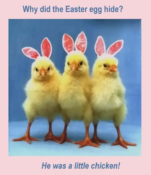 Funny Easter Quotes
 Quotes and Sayings Happy Easter Funny Quotes Eggs and Rabbits
