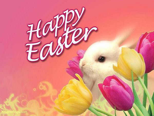Funny Easter Quotes
 Happy Easter Quotes 365greetings