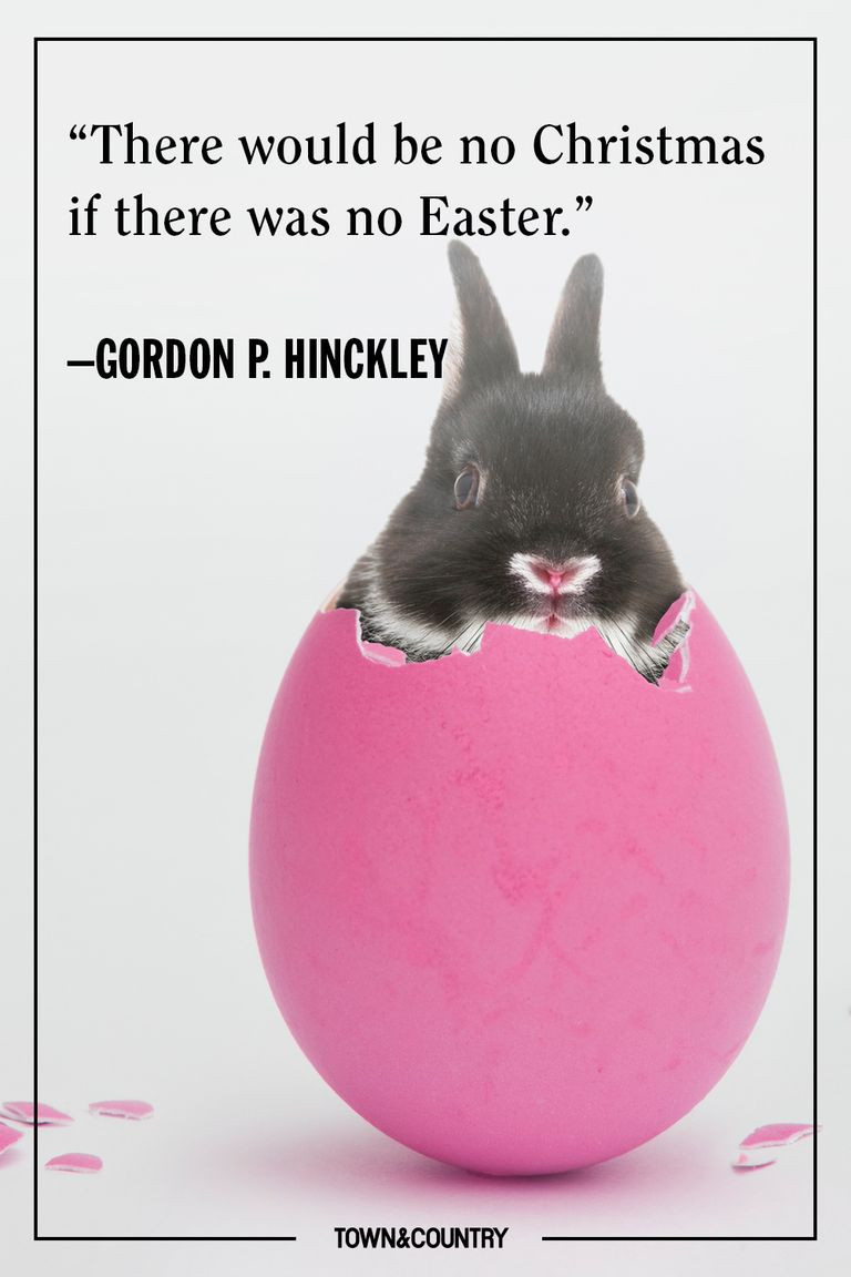 Funny Easter Quotes
 11 Best Easter Quotes Funny Happy Easter Sayings and Wishes