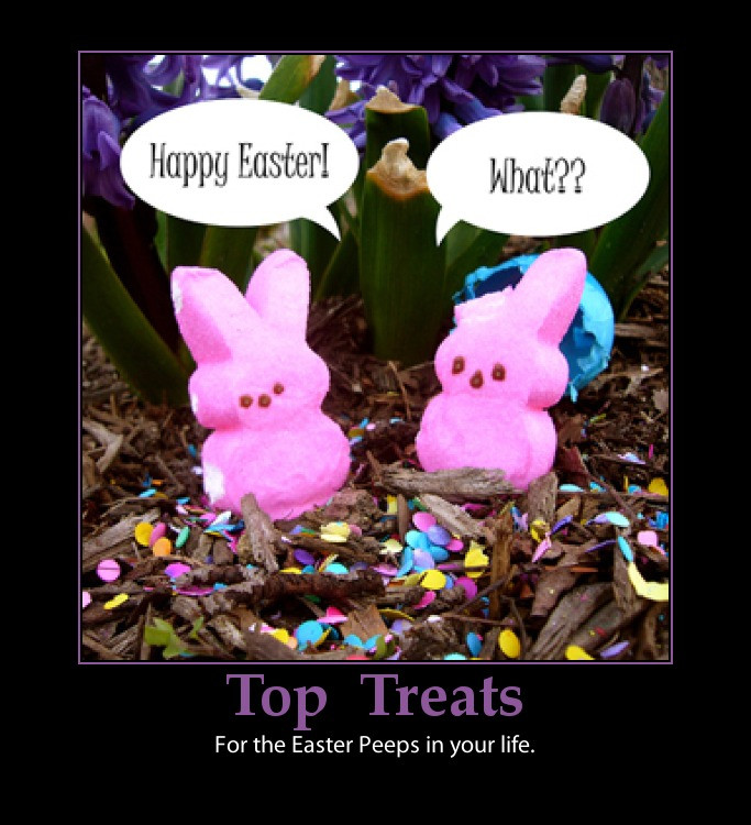 Funny Easter Quotes
 Funny Quotes about Easter