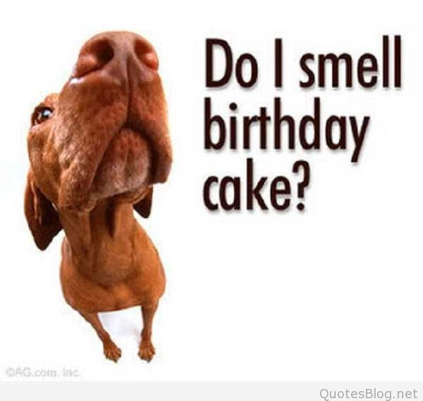 Funny Happy Birthday Pics And Quotes
 Funny birthday quotes and sayings 2015