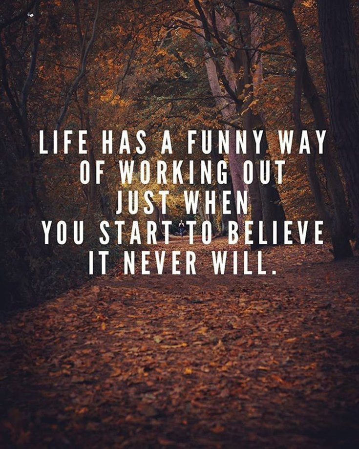 Funny Inspirational Quotes About Life
 59 Funny Inspirational Quotes Life You’re Going To Love