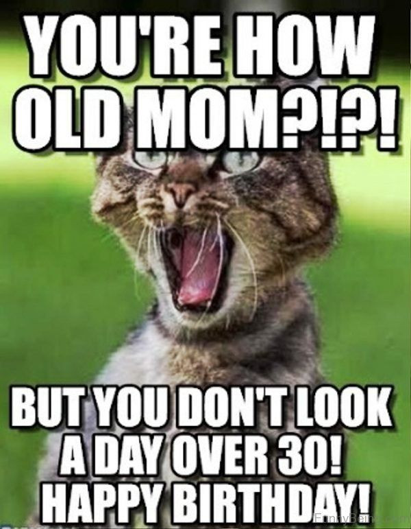 Funny Mother Birthday Quotes
 Happy Birthday Mom Meme Quotes and Funny for Mother