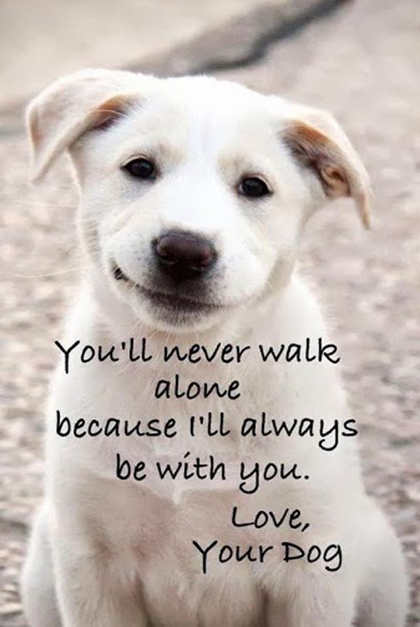 Funny Puppy Quotes
 101 Best Inspirational Quotes Will Change Your Life