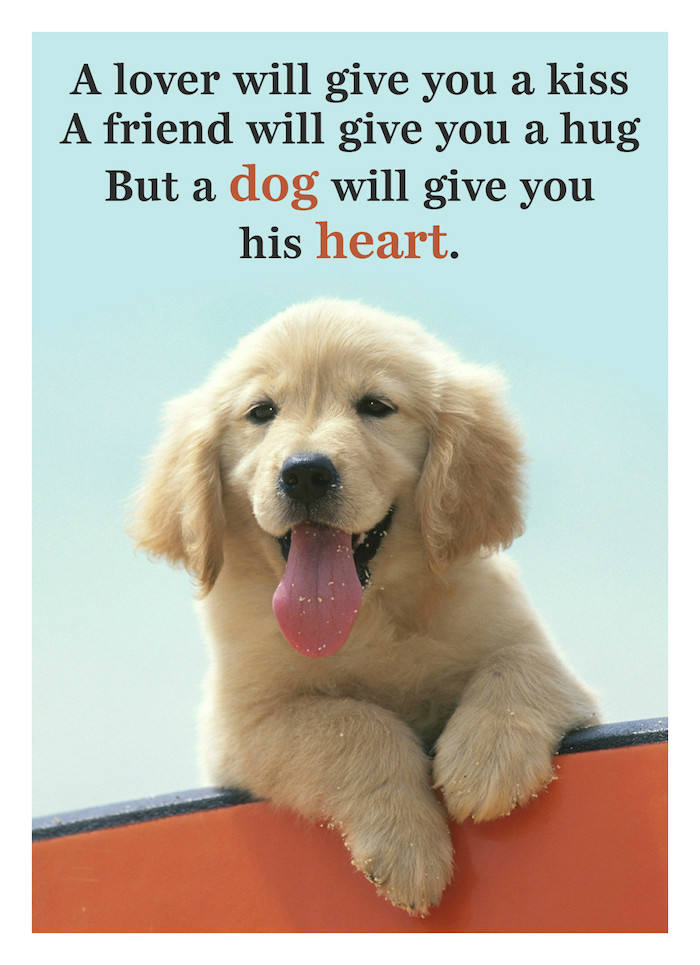 Funny Puppy Quotes
 10 Inspirational Quotes All Dog Lovers Should Know