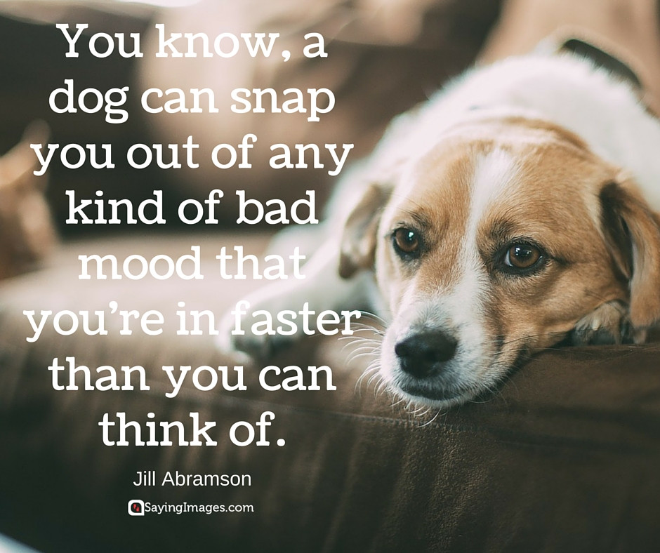 Funny Puppy Quotes
 20 Cute & Famous Dog Quotes