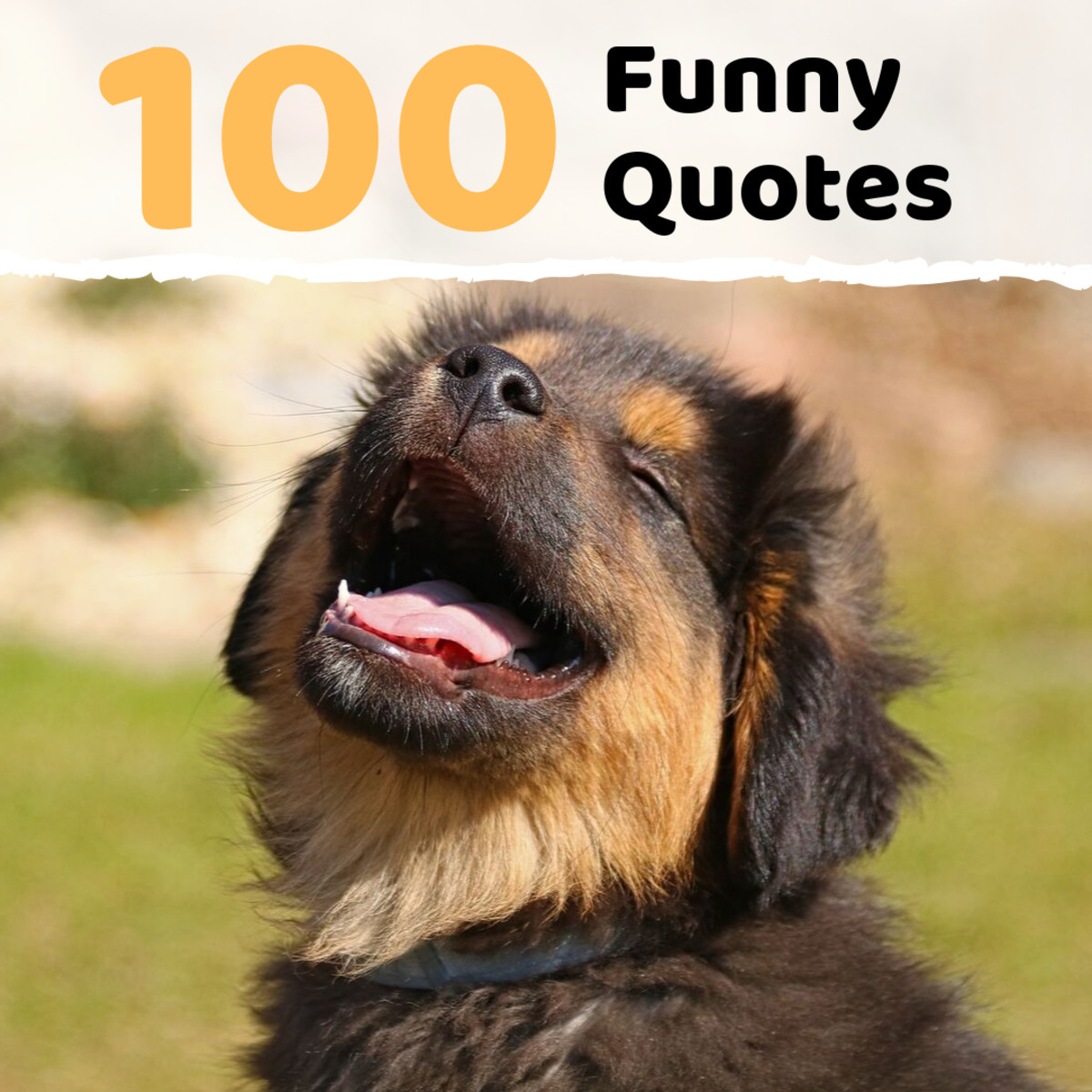 Funny Quotes And Pictures
 100 Funny Sayings Quotes and Phrases