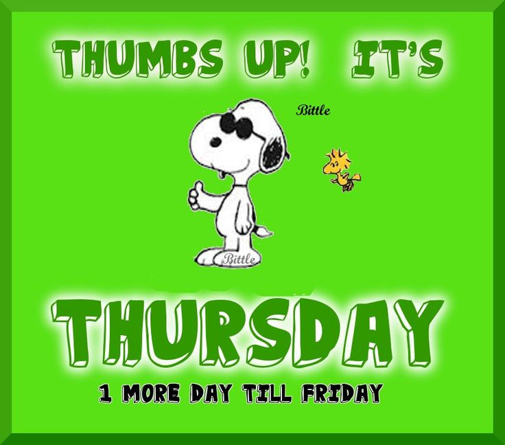 Funny Thursday Quotes
 Snoopy Thursday Quotes QuotesGram