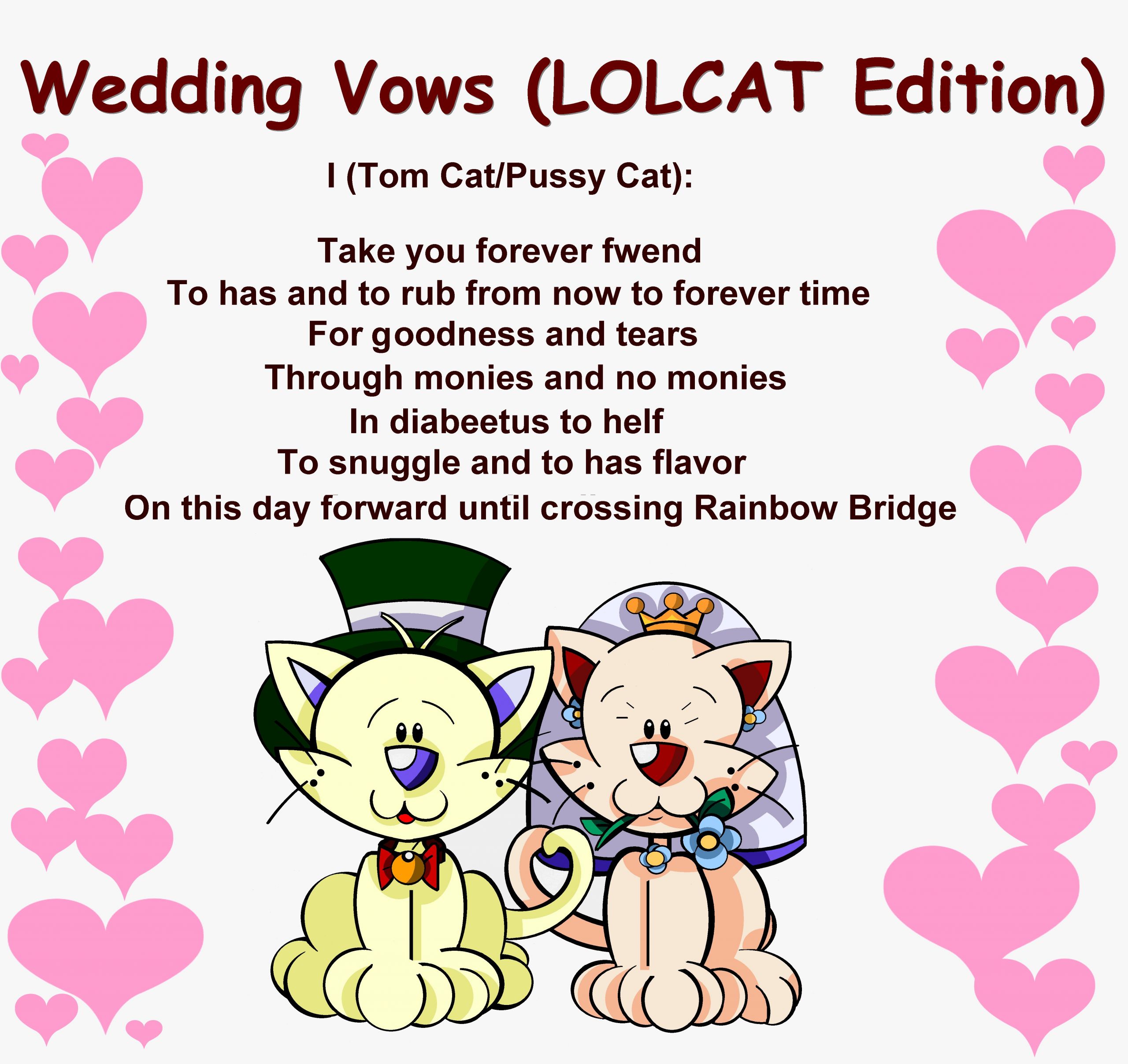 Funny Wedding Vows Ideas
 Funny Wedding Vows Make Your Guests Happy cry
