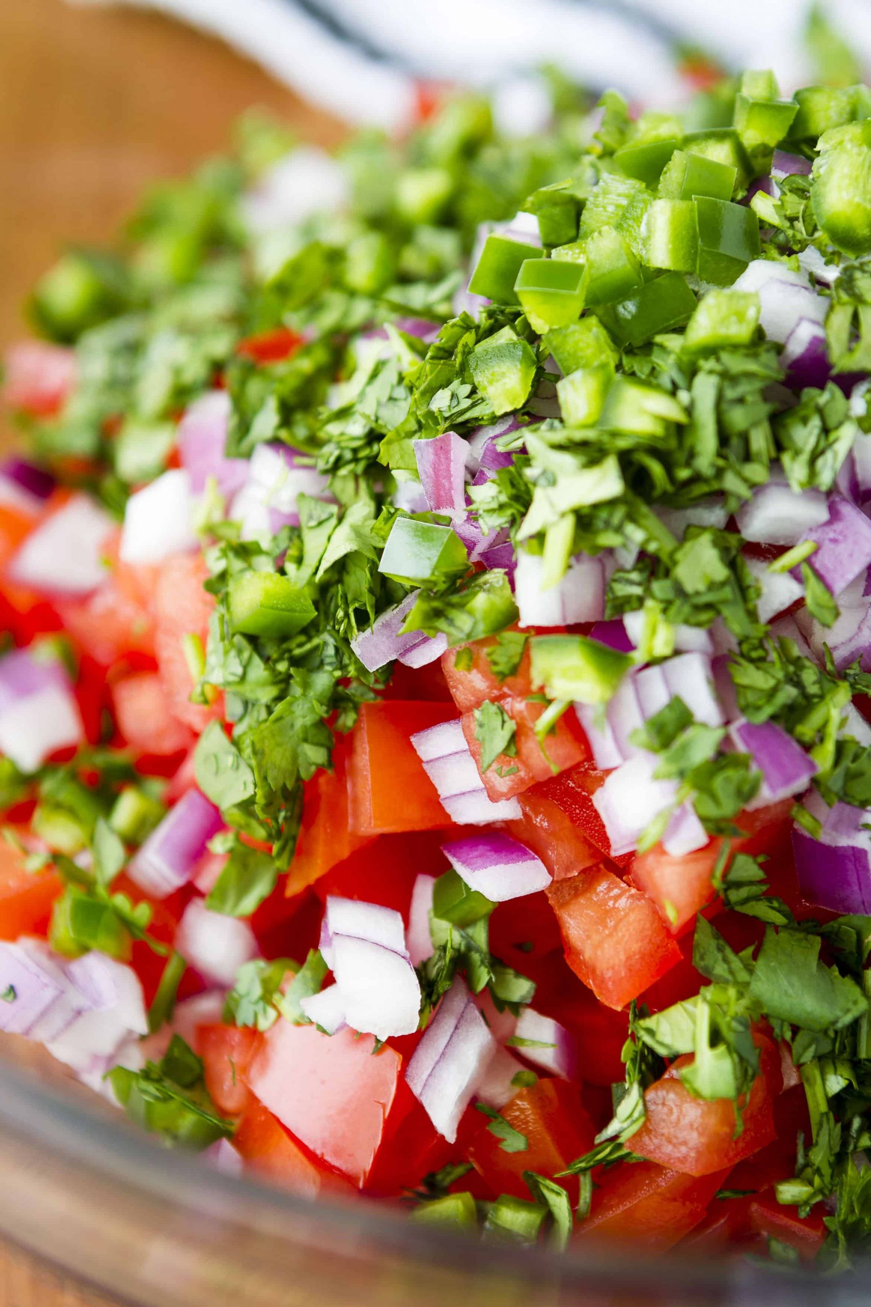 Garden Fresh Salsa Recipe
 5 Ingre nt Homemade Fresh Tomato Salsa