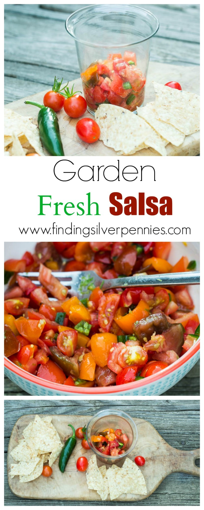 Garden Fresh Salsa Recipe
 Garden Fresh Salsa Finding Silver Pennies