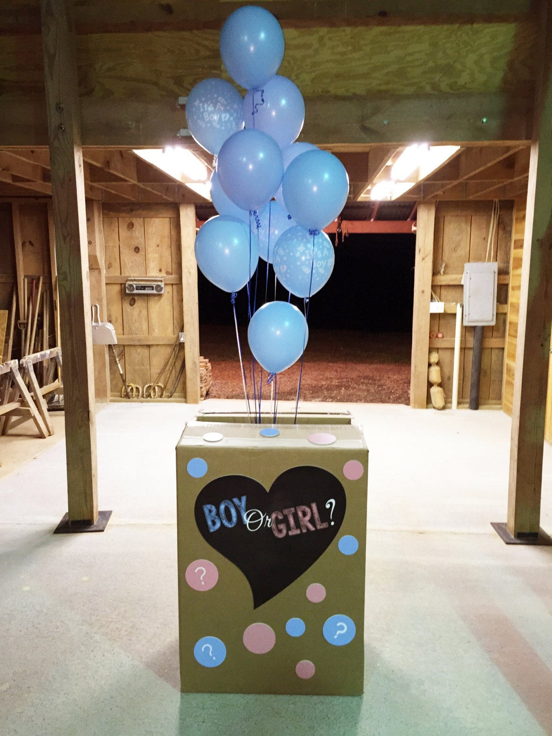 Gender Reveal Party Ideas Balloons
 Gender Reveal Party Balloon Box Decorations