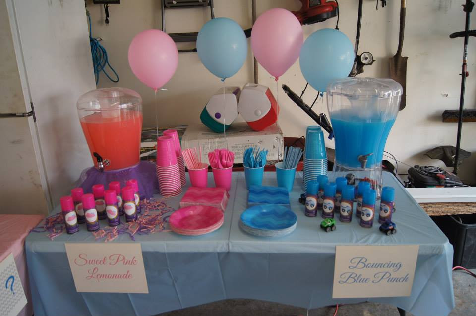 Gender Reveal Party Ideas Party City
 Gender Reveal Party