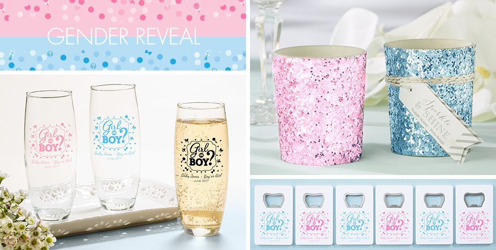 Gender Reveal Party Ideas Party City
 Girl or Boy Gender Reveal Party Supplies Party City