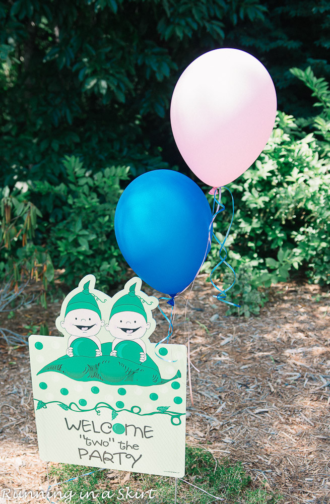 Gender Reveal Party Ideas Twins
 The Cutest Gender Reveal Party for Twins