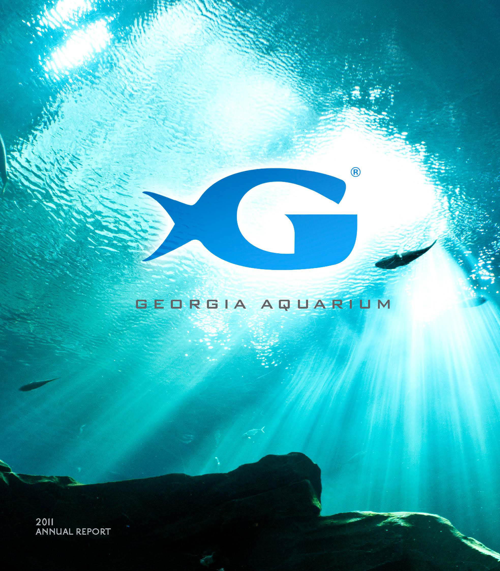 Georgia Aquarium Thanksgiving
 Eric Tirado GA Aquarium Annual Report