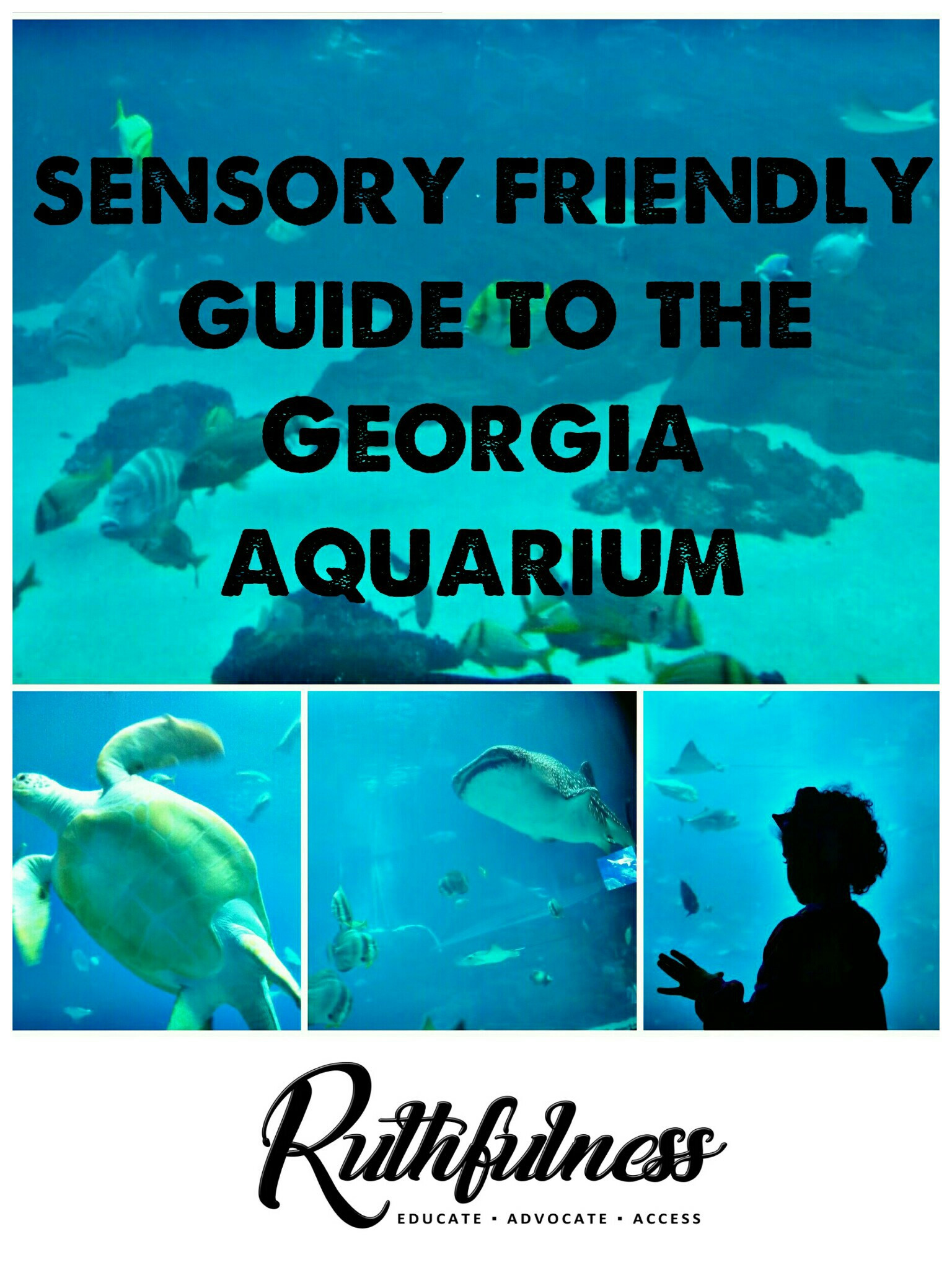 Georgia Aquarium Thanksgiving
 Sensory Friendly Review of the Georgia Aquarium