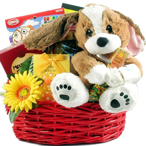 Get Well Gift For Children
 TLC Get Well Basket for Kids