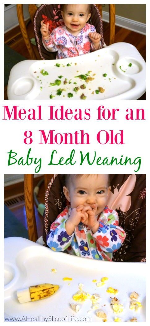 Gift Ideas For 8 Month Old Baby Girl
 Baby Led Weaning Meal Ideas 8 Months Old