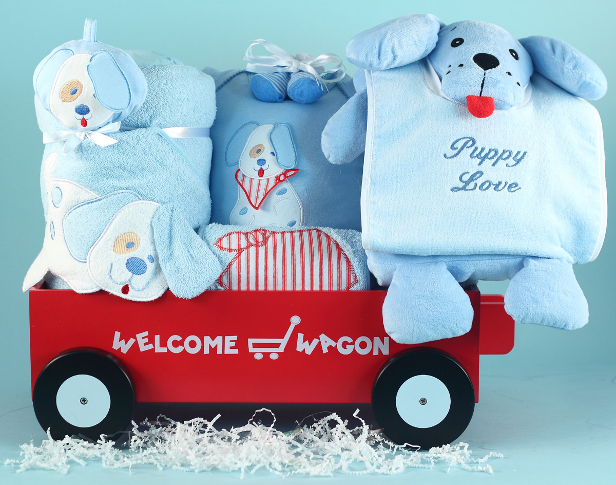 Gift Ideas For A Newborn Baby Boy
 5 Best Baby Boy Gifts News from Silly Phillie