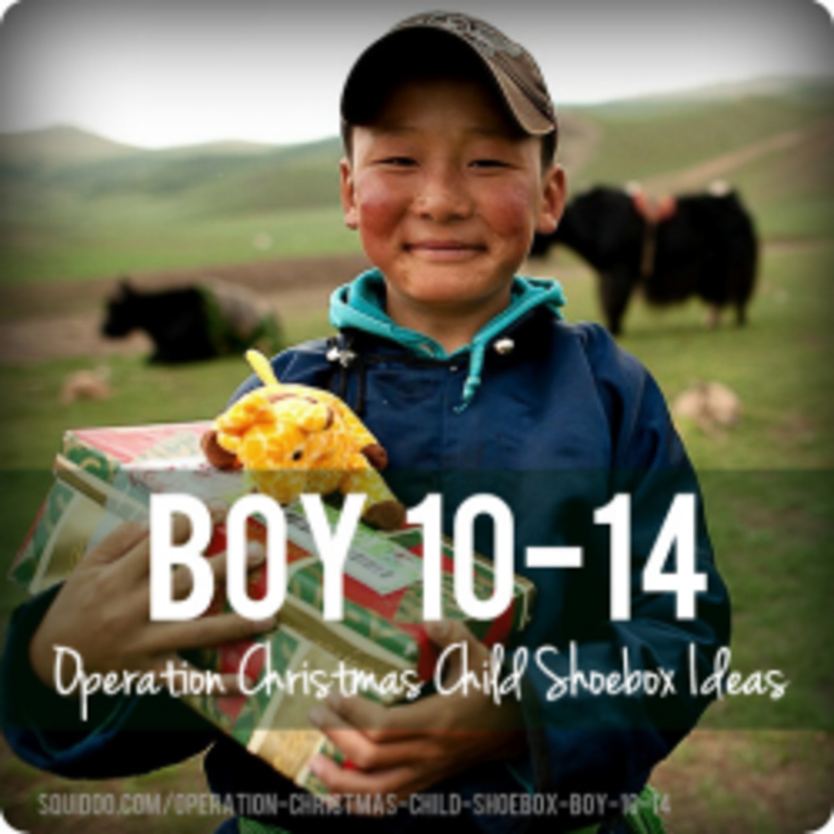 Gift Ideas For Boys Age 14
 Operation Christmas Child Shoebox Ideas for Boys Aged 10