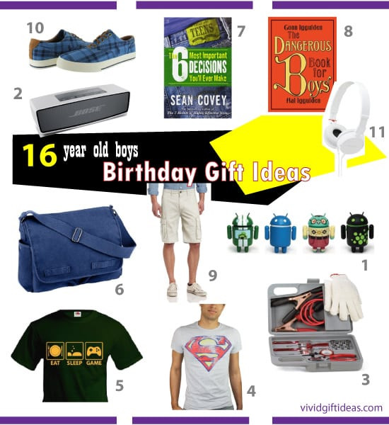 Gift Ideas For Boys Age 16
 Good Birthday Gifts for 16 Year Old Boys Vivid s