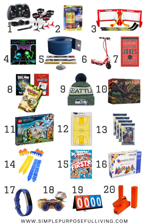 Gift Ideas For Boys Age 8
 20 Best Gifts for Tween Boys Ages 6 12