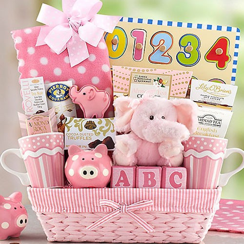 Gift Ideas For New Baby Girl
 New Baby Girl Basket