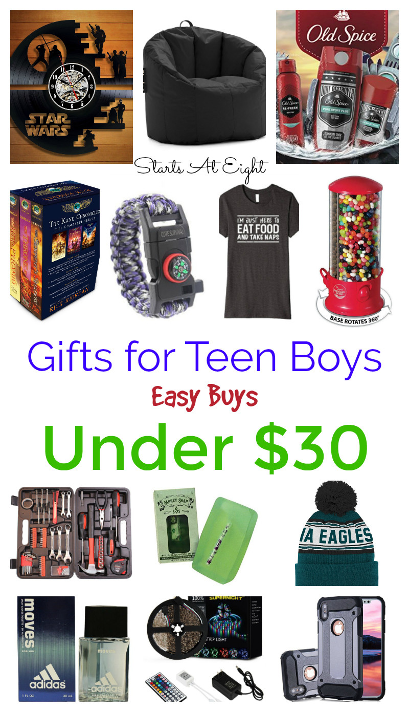 Gift Ideas For Young Boys
 Gifts for Teen Boys Easy Buys Under $30 StartsAtEight