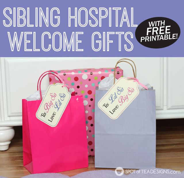 Gift Ideas From Baby To Big Sister
 Big Sister and Little Sister Wel e Gifts With Free