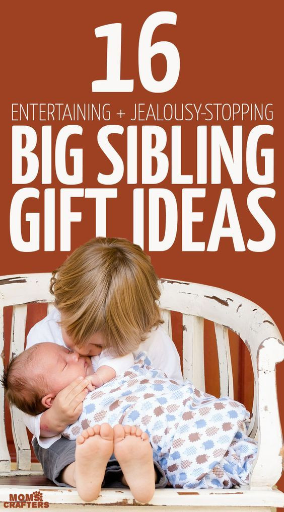 Gift Ideas From Baby To Big Sister
 The best big sibling t ideas