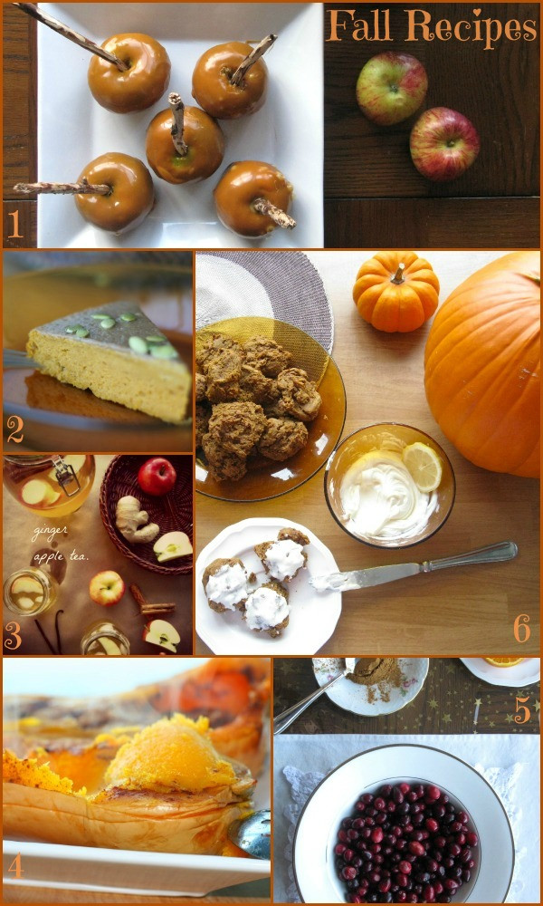 Gluten Free Fall Recipes
 Gluten Free Fall Recipes The Best of this Life