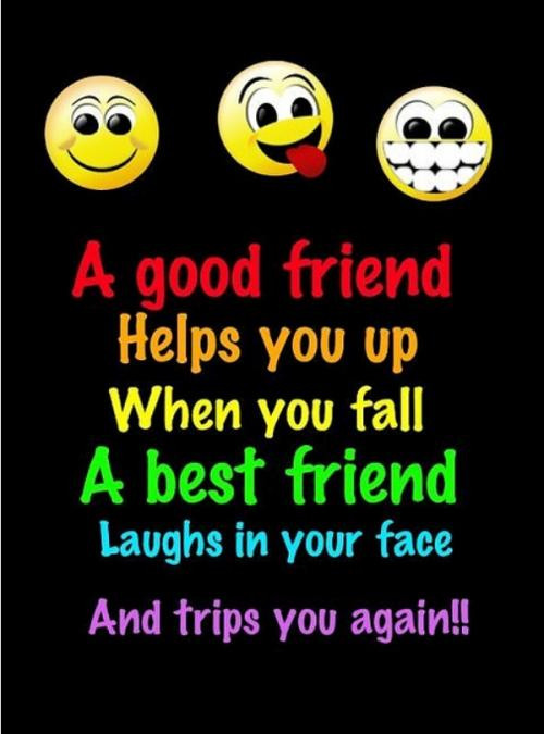Good Friend Quotes Funny
 Best Funny Quotes And Sayings