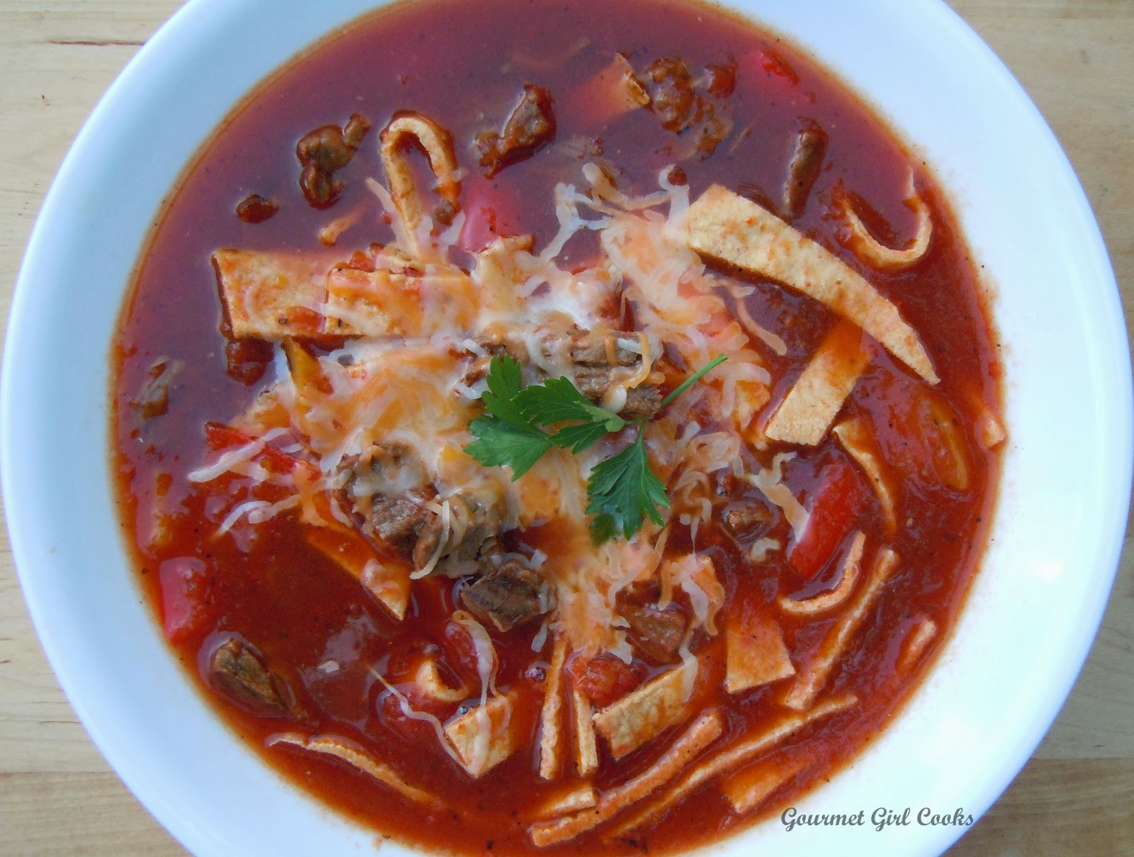 Gourmet Mexican Recipes
 Gourmet Girl Cooks Mexican Style Beef & Tortilla Noodle Soup