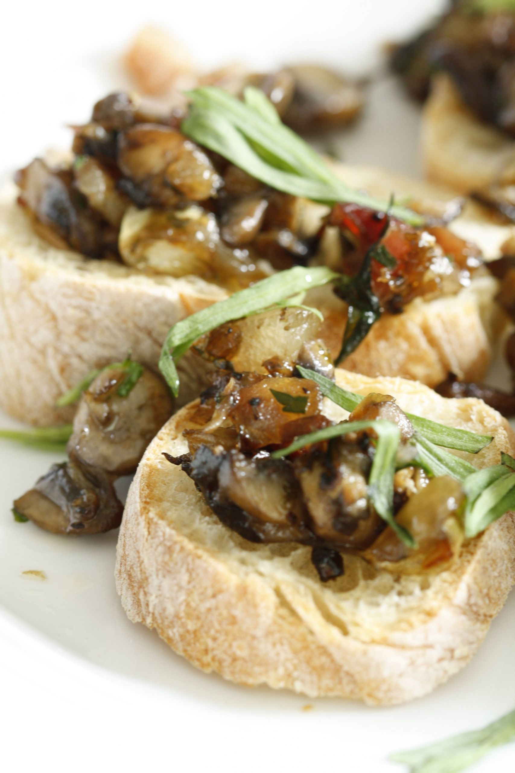 Gourmet Mushroom Recipes
 Gourmet Appetite ♨ Mushroom Tartines