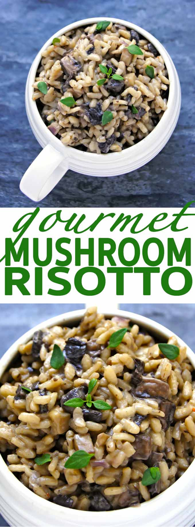 Gourmet Mushroom Recipes
 ITALIAN STYLE GOURMET MUSHROOM RISOTTO