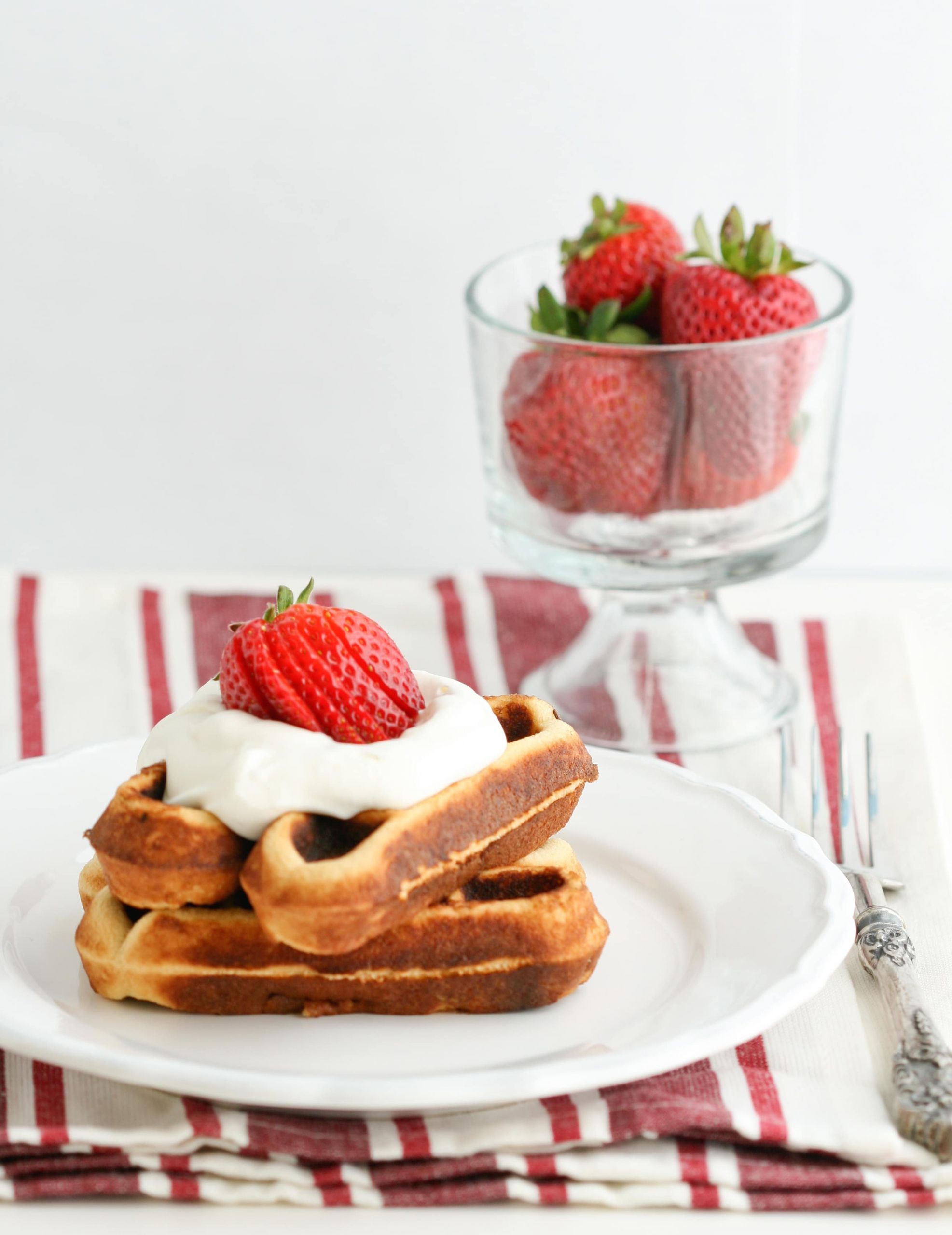 Grain Free Waffles
 Coconut Flour Waffles Grain Free Paleo Deliciously