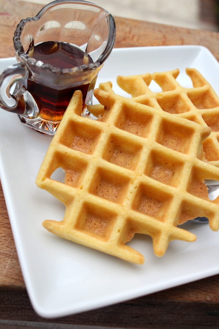 Grain Free Waffles
 Gluten Free Waffle Recipe Bravo For Paleo