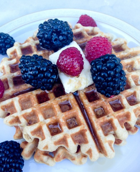 Grain Free Waffles
 Grain Free Waffles Stacey Deering