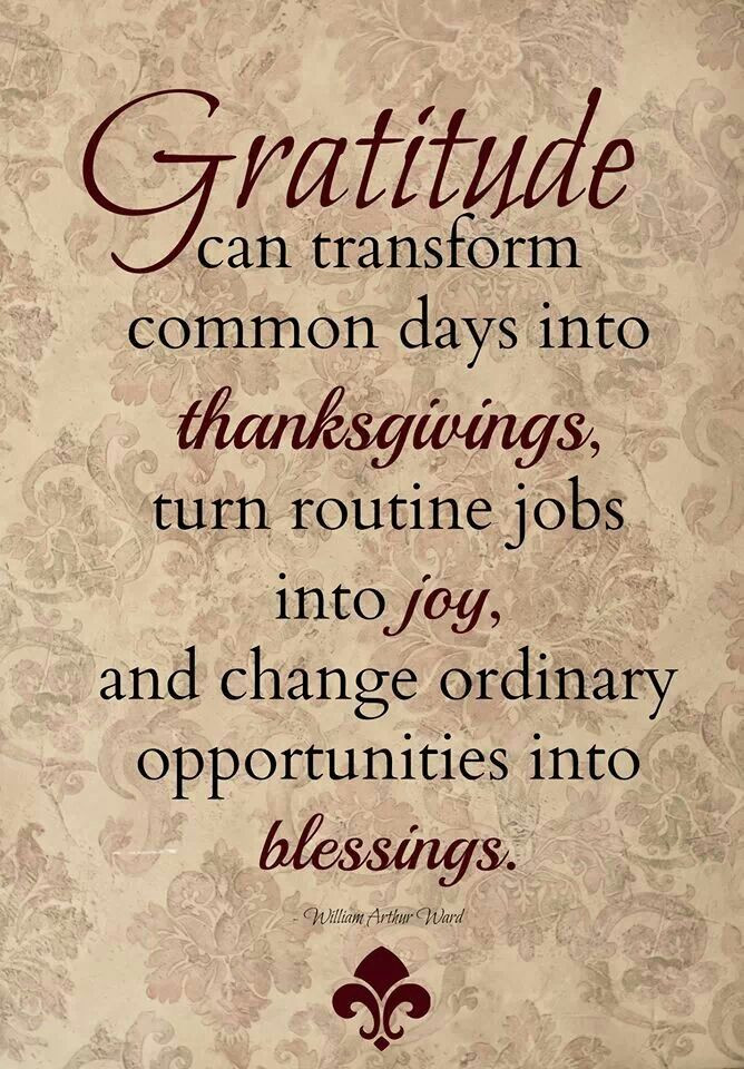 Grateful Thanksgiving Quotes
 Gratitude Quotes Thanksgiving QuotesGram