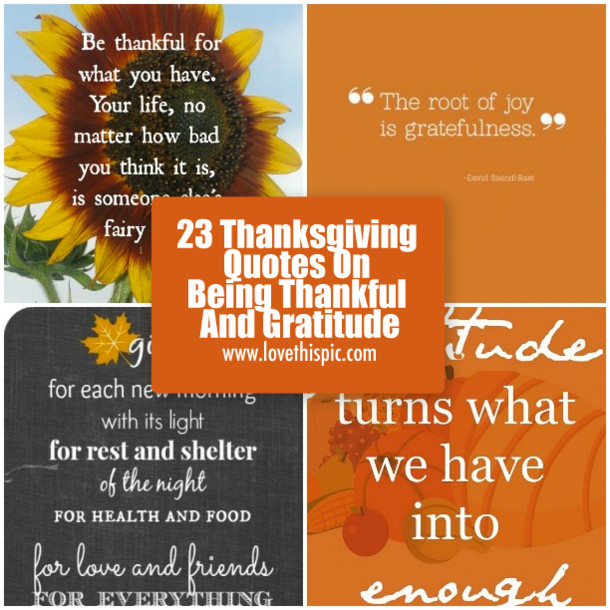 Grateful Thanksgiving Quotes
 23 Thanksgiving Quotes Being Thankful And Gratitude