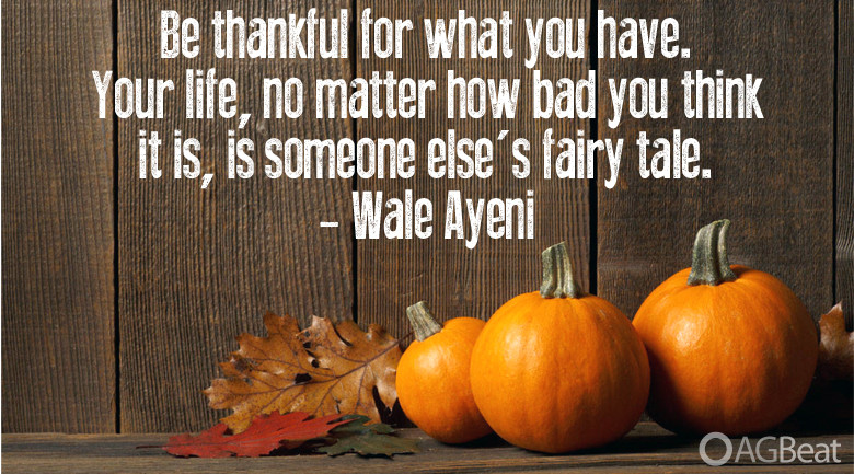 Grateful Thanksgiving Quotes
 THANKSGIVING QUOTES image quotes at relatably