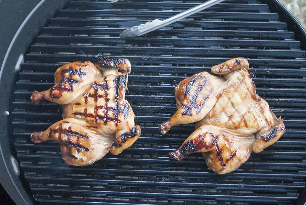 Grilling Cornish Hens
 Grilled Cornish Hens Glazed in Soy Honey and Lemon