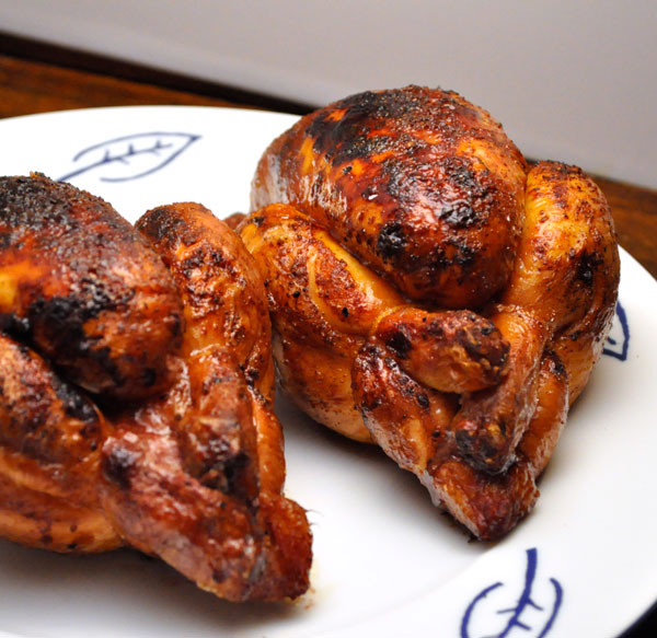 Grilling Cornish Hens
 Grilled Cornish Hens with Fresh Herbs