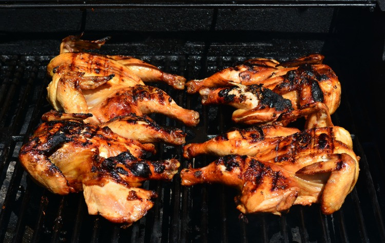 Grilling Cornish Hens
 Grilled Cornish Hens with Sesame Chicken Marinade and